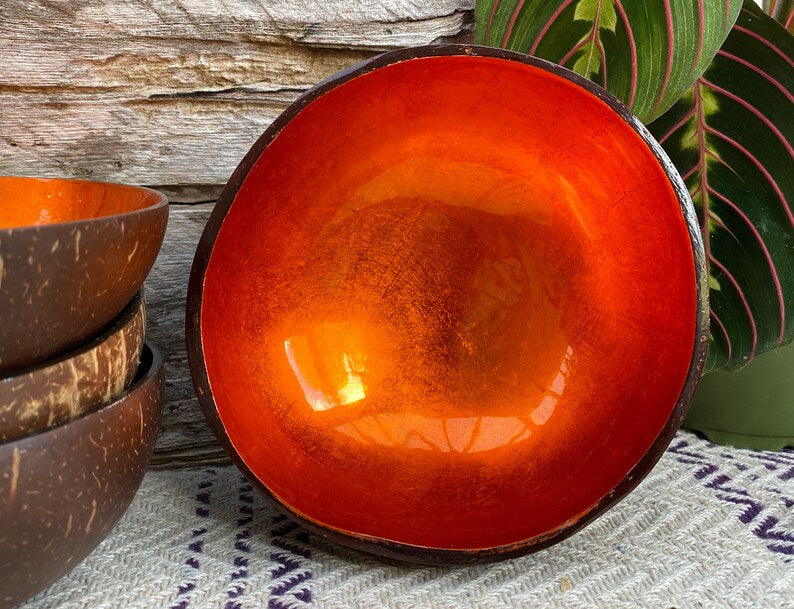 Coloured Coconut Bowl