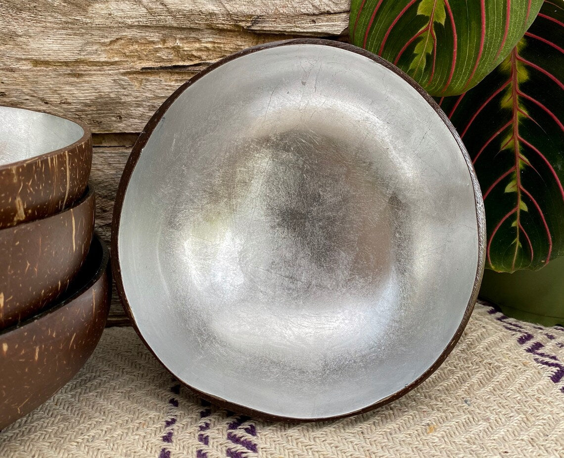 Coloured Coconut Bowl