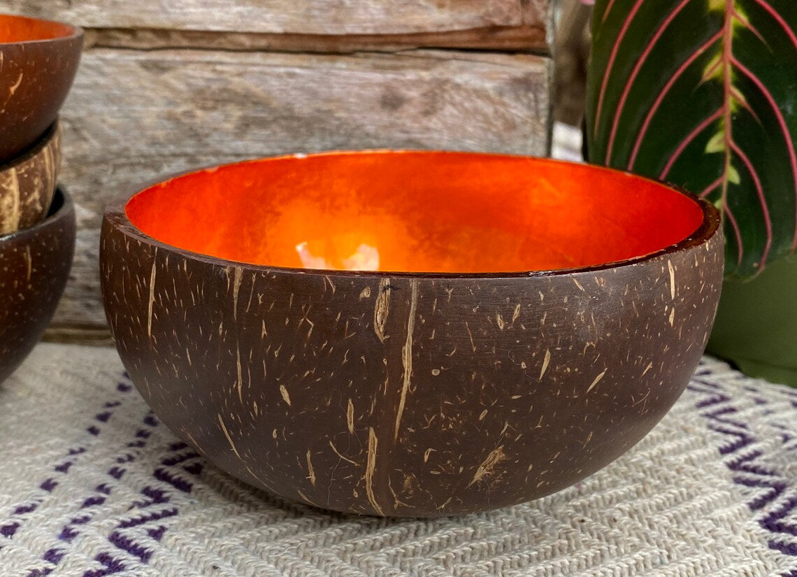 Coloured Coconut Bowl