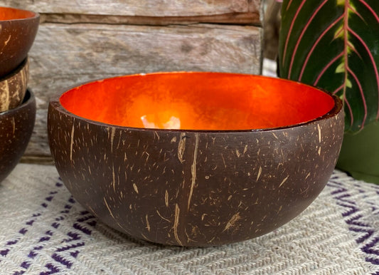 Coloured Coconut Bowl
