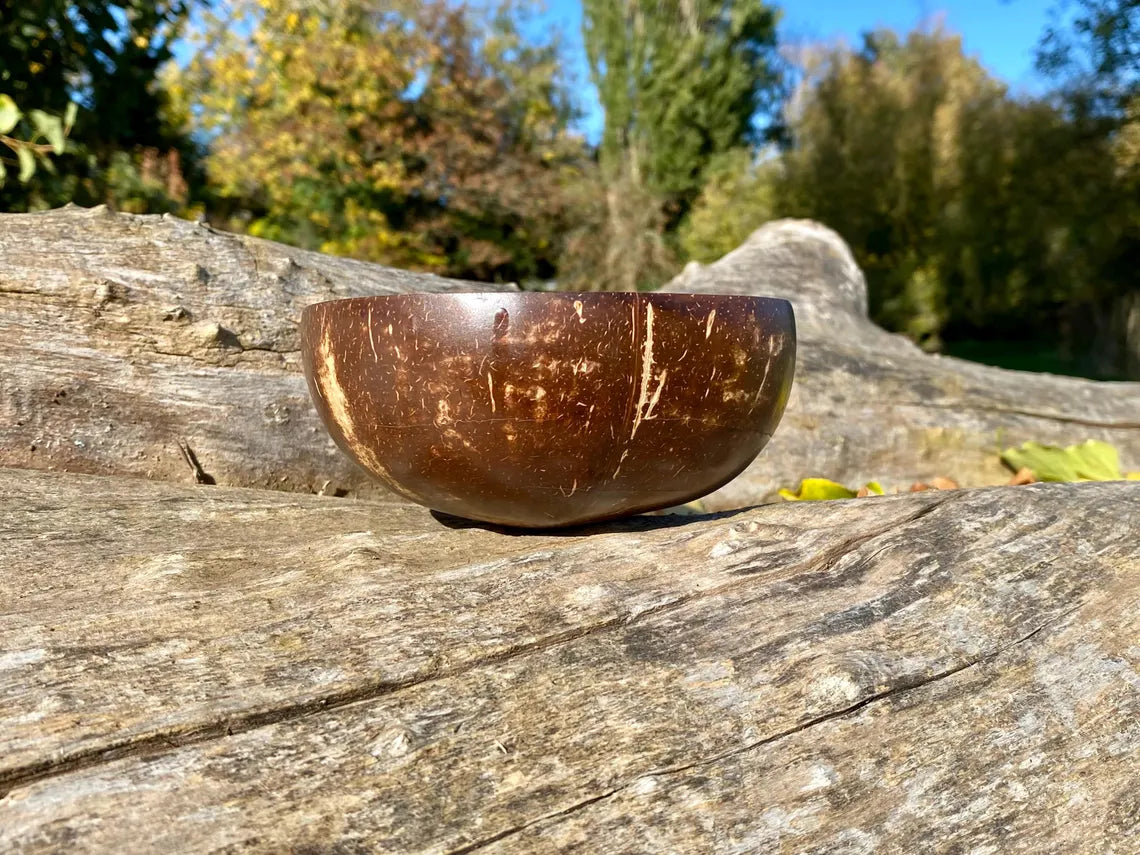 Cream Coconut Bowl with Mother of Pearl Inlay Colourful Elephant