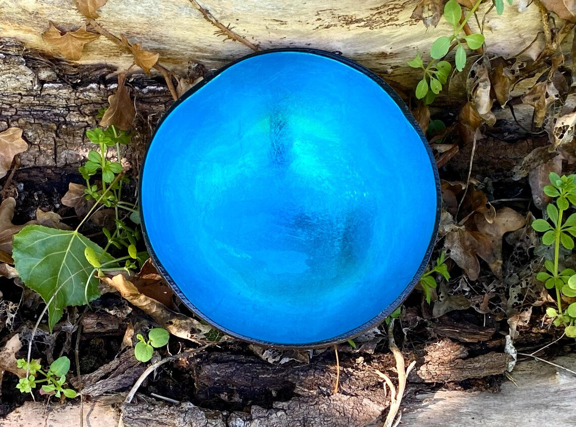 Coloured Coconut Bowl