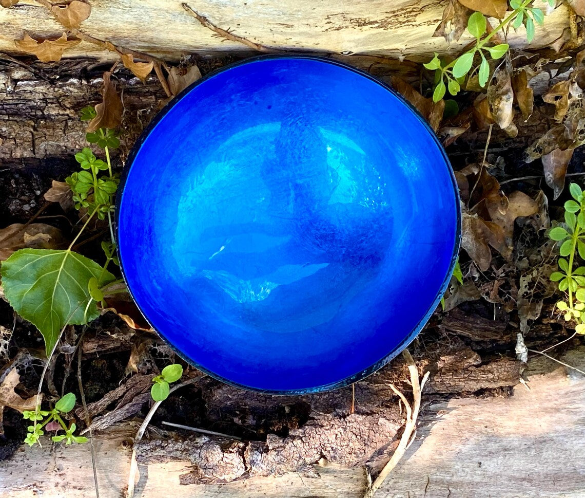 Coloured Coconut Bowl