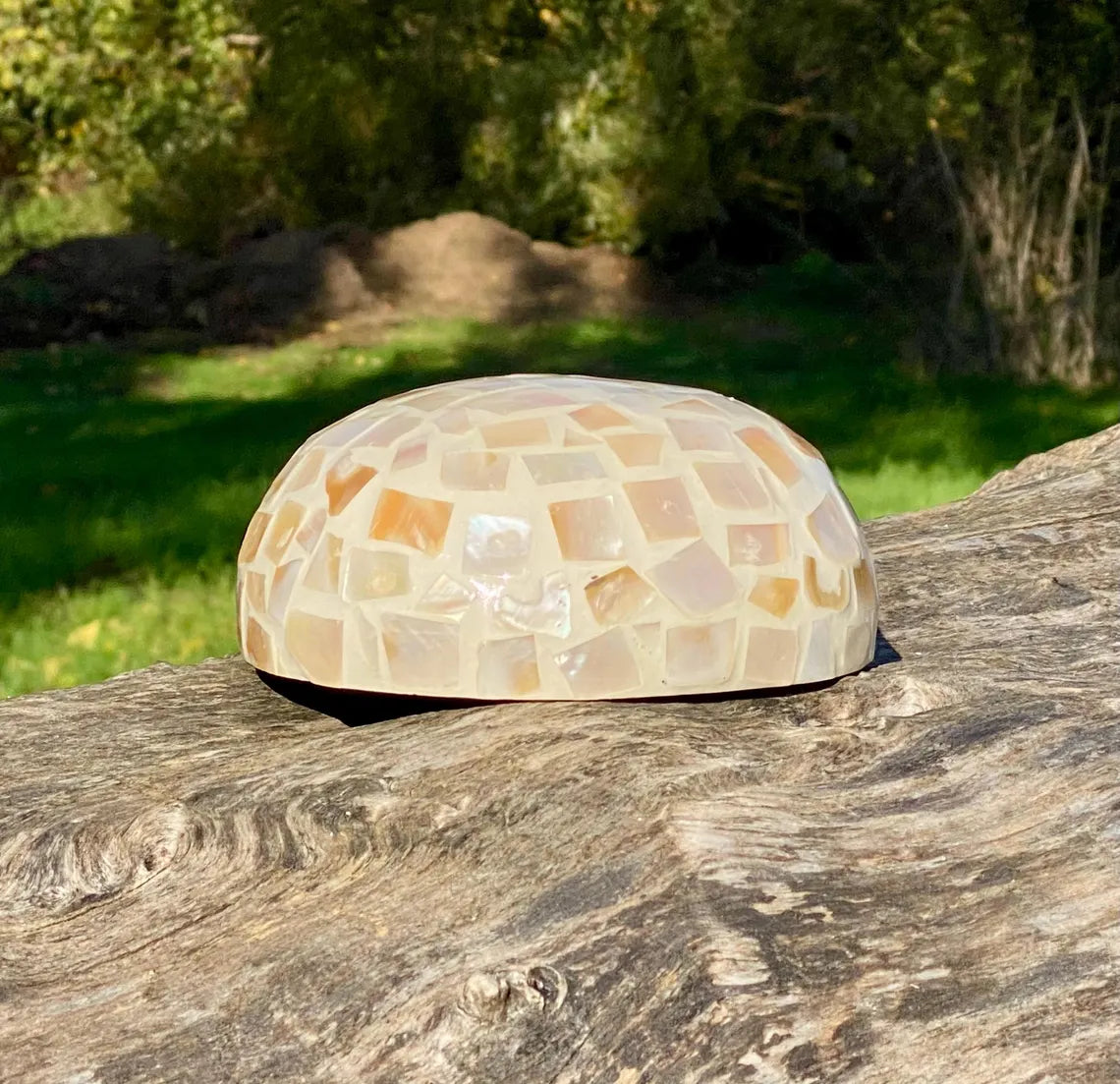 Cream Coconut Bowl with Exterior Mother of Pearl Inlay Light Mosaic