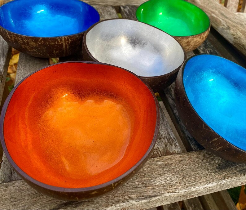 Coloured Coconut Bowl