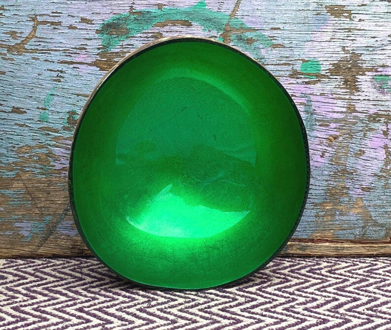 Coloured Coconut Bowl